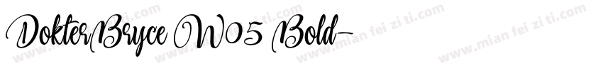 DokterBryce W05 Bold字体转换